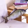 Realistic Catnip Fish Plush Toy For Cats 13