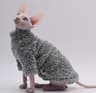 Warm Double Sided Winter Jacket For Sphynx And Hairless Cats 6