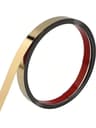 Stainless Steel Trim Strip 6