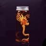Alien Specimen Jar Sci Fi Display Prop 7