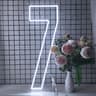 Extra Large LED Neon Number Party Sign 13