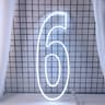 Extra Large LED Neon Number Party Sign 12