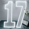 Extra Large LED Neon Number Party Sign 22