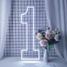 Extra Large LED Neon Number Party Sign 7
