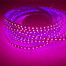 High Density 2835 LED Strip Lights 12