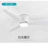 CoolComfort 4252 Inch LED Ceiling Fan With Light And DC Motor Remote Control 6