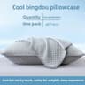 Cooling Pillowcase For Summer  Ice Silk Soft Breathable And Washable Pillow Cover 48x74cm No Pillow 8