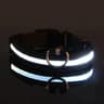 Nylon LED Glow Dog Leash  Collar Set  Night Safety Reflective LightUp Pet Gear For Walks After Dark 7