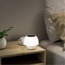 Solar Mushroom Mini Table Lamp  Portable USB  Solar Powered Night Light For Outdoor Patio Camping   6