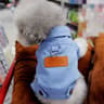 DenimWalk Dog Denim Overall With DRing  Stylish LeashReady Jacket For Small  Medium Dogs 7