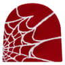 WebRide Y2K Unisex Knit Beanie  SpiderWeb Pattern Outdoor Hat For Men  Women 14