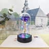 Eternal Artificial Rose LED Light Flower Valentines Gift For Girlfriend 15