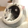 Foldable Removable Washable Cartoon Deep Sleep Pet Bed For Cats  Small Dogs 7