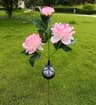 Solar Peony Flower Garden Lights 3 Head Waterproof Pink Pathway Stake Lamps 6