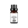 10 Ml Mango And Pineapple Fruit Flavor Essential Oils For DIY Diffusers Soaps And Candles 18