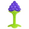 Silicone Baby Fruit Teether 5Pack StrawberryStyle Soothing Teething Toy Set 10