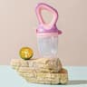 FreshNibble Silicone Baby Fruit Feeder With Protective Cover 11