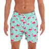 DATIFER Mens Beach Print Swim Shorts  Quick Dry Surf Swim Trunks With Pockets 13