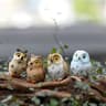 Mini Cute Animal Figurines Set For Fairy Garden Bonsai DIY Landscape Decor 18