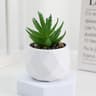 Mini Artificial Succulent Bonsai Plant Realistic Faux Cactus Decor For Desk And Home 13