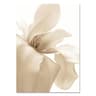 Nordic White Shell Beach Dandelion Canvas Wall Art Minimalist Living Room Decor 8