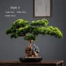 ZenInspired Artificial Pine Bonsai Tree For Desk And Home Decor 8
