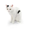 Cute Lying Orange Cat Figurine Mini Realistic Desk Decor Ornament 6