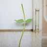 63Inch Floor Standing Flower Pole Base For Giant Paper Flower Displays And Event Decor 10