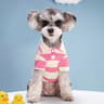 Pet Dog Polo Shirt Summer TShirt For Small  Large Dogs 6