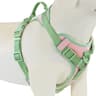 Personalized Breathable No Pull Dog Harness For Small  Large Dogs 9