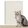 SelfAdhesive Trimmable Cat Scratching Mat Furniture Protector 8