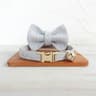 Personalized Bow Cat Collar With Engraved Nameplate And Bell 10