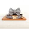 Personalized Bow Cat Collar With Engraved Nameplate And Bell 19