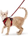 SafePaws EscapeProof Reflective Cat Harness  Leash Set 11