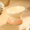 Elevated Ceramic Cat Bowl With Tilted Design For Comfortable Feeding And Easy Cleaning 9