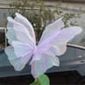 3D Butterfly Wall Decorations For Party Decor 9