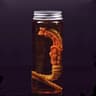 Alien Facehugger Specimen Jar With LED Light Sci Fi Movie Prop Replica 7
