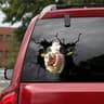Funny 3D Chicken Window Decal 12