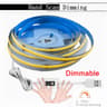LumiFlex Touch COB Light Strip 10