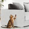 PawShield Cat Scratch Protector 11
