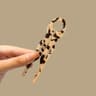 RibbonArc Acetate Hair Fork 13