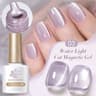 Cat Eye Magnetic Gel Polish Black Glass Shine For Winter Nail Art 19