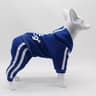 Adidog Dog Jumpsuit Sports Suit For Small Dogs 5
