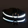 Nylon LED Night Safety Glow Dog Leash And Collar 6
