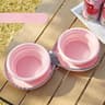 Foldable Silicone Double Dog Bowl Portable Travel Feeding Set 9