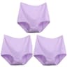 Womens Plus Size Cotton High Waist Briefs Breathable Comfort Underwear Three Piece Set 10