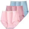 Womens Plus Size Cotton High Waist Briefs Breathable Soft Everyday Underwear Three Piece Set 15