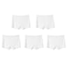 FallSweet Womens Seamless Boyshort Panties Breathable Satin Underwear Five Piece Set 10