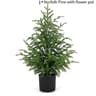 JUSTINLAU 2FT Artificial Norfolk Pine Cypress Tree  Potted Tabletop Faux Holiday Decor 8