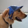Adjustable Pet Outdoor Sun Visor Mesh Baseball Cap 6